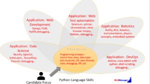 Python language applications DevOps Robotics Automation web test